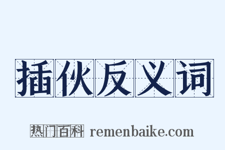 插伙反义词是什么意思的图片